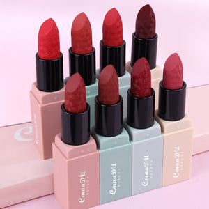 4pcs/set Cmaadu Velvet Matte Lipstick Kit Lips Makeup Beauty Cosmetic Red Lips Rouge A Levre Waterproof Nude Matte Lip Stick